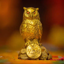 Load image into Gallery viewer, Feng Shui Coin Owl Showpiece
