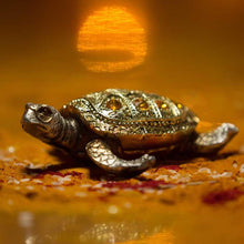 Load image into Gallery viewer, Stone Studded Sparkling Golden Tortoise