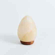 Load image into Gallery viewer, Himalayan Pink Salt Oval Glow Lamp