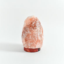 Load image into Gallery viewer, Himalayan Pink Salt Naturally Carved Glow Lamp