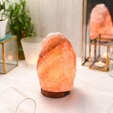 Load image into Gallery viewer, Himalayan Pink Salt Naturally Carved Glow Lamp