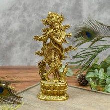 Load image into Gallery viewer, Beautiful Carved Krishna Idol/Murti