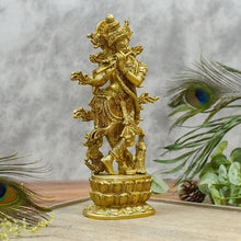 Load image into Gallery viewer, Beautiful Carved Krishna Idol/Murti