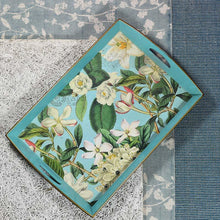 Load image into Gallery viewer, Turquoise