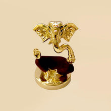 Load image into Gallery viewer, Brown