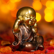 Load image into Gallery viewer, Beautiful Little Monk with Closed Ears