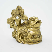 Load image into Gallery viewer, Feng Shui Clay Frog on Coin Wealth Money Tree For Prosperity and Good Luck