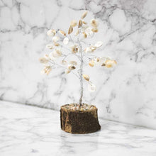 Load image into Gallery viewer, Feng Shui Vastu Gomati Chakra Tree for Prosperity