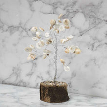Load image into Gallery viewer, Feng Shui Vastu Gomati Chakra Tree for Prosperity