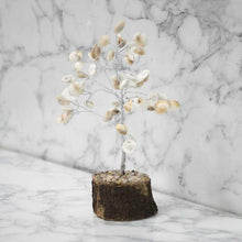Load image into Gallery viewer, Feng Shui Vastu Gomati Chakra Tree for Prosperity
