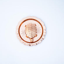 Load image into Gallery viewer, Brass Feng Shui Tortoise