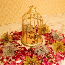 Load image into Gallery viewer, Exquisite Metal Bird-Cage Decorative Hanging Lantern