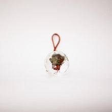 Load image into Gallery viewer, Feng Shui Hanging with Crystal Ball and Coins