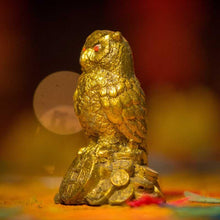 Load image into Gallery viewer, Feng Shui Coin Owl Showpiece
