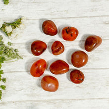 Load image into Gallery viewer, Carnelian Crystal Healing Tumble Stone Set
