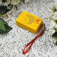 Load image into Gallery viewer, Sikh Devotional Chanting Box
