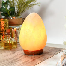 Load image into Gallery viewer, Himalayan Pink Salt Oval Glow Lamp
