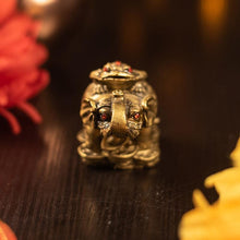 Load image into Gallery viewer, Feng Shui Elephant with Money Frog Atop (Clay)
