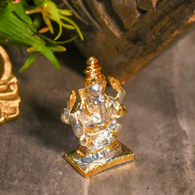 Load image into Gallery viewer, Golden_&amp;_Silver
