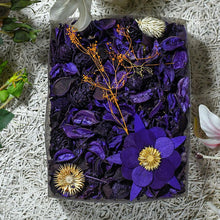 Load image into Gallery viewer, PURPLE
