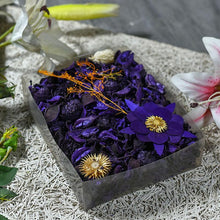 Load image into Gallery viewer, PURPLE
