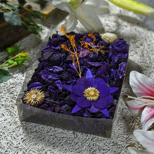 Load image into Gallery viewer, PURPLE
