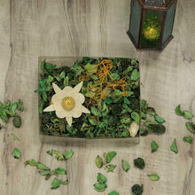 Load image into Gallery viewer, LIGHT_GREEN
