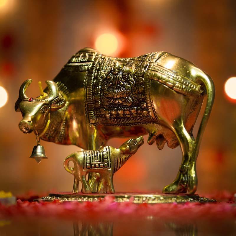 Decorative Golden Kamdhenu Cow and Calf Showpiece