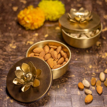 Load image into Gallery viewer, Brass Zahra Nut Case ( Set of 2 )
