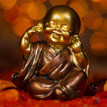 Load image into Gallery viewer, Beautiful Little Monk with Closed Ears
