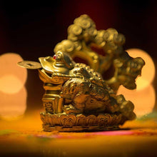 Load image into Gallery viewer, Feng Shui Clay Frog on Coin Wealth Money Tree For Prosperity and Good Luck
