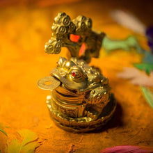 Load image into Gallery viewer, Feng Shui Clay Frog on Coin Wealth Money Tree For Prosperity and Good Luck
