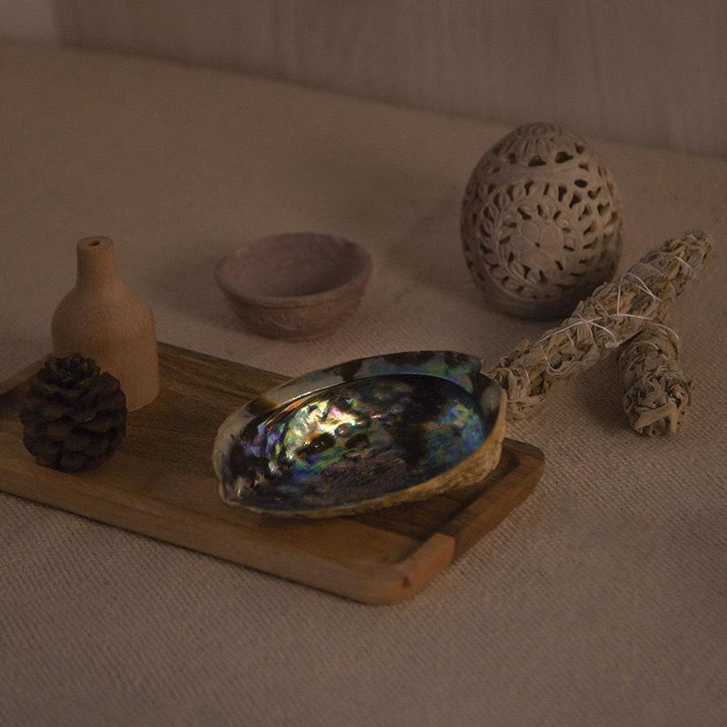 Abalone Peace Shell