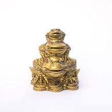 Load image into Gallery viewer, Feng Shui Fortune Frog
